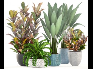 collection plants Modèle 3D