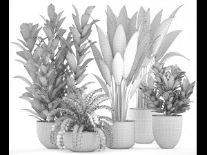 collection plants Modèle 3D