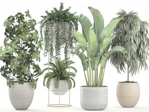 collection plants 3D Model