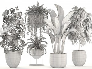 collection plants 3D Model
