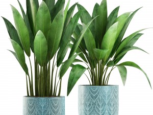 banana bush 3D 모델