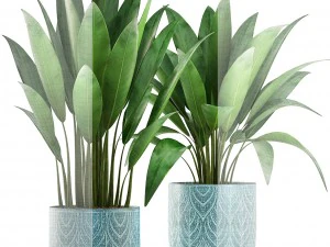 banana bush 3D Model