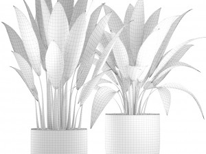 banana bush Modello 3D