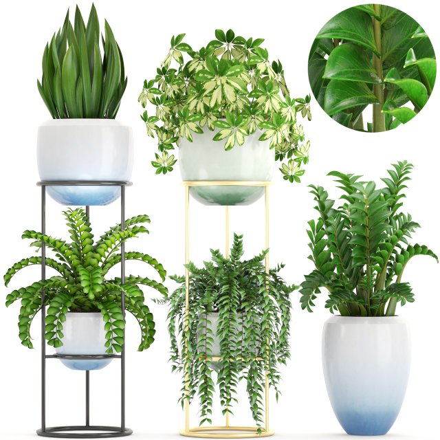 collection plants 3D Model .c4d .max .obj .3ds .fbx .stl .blend 