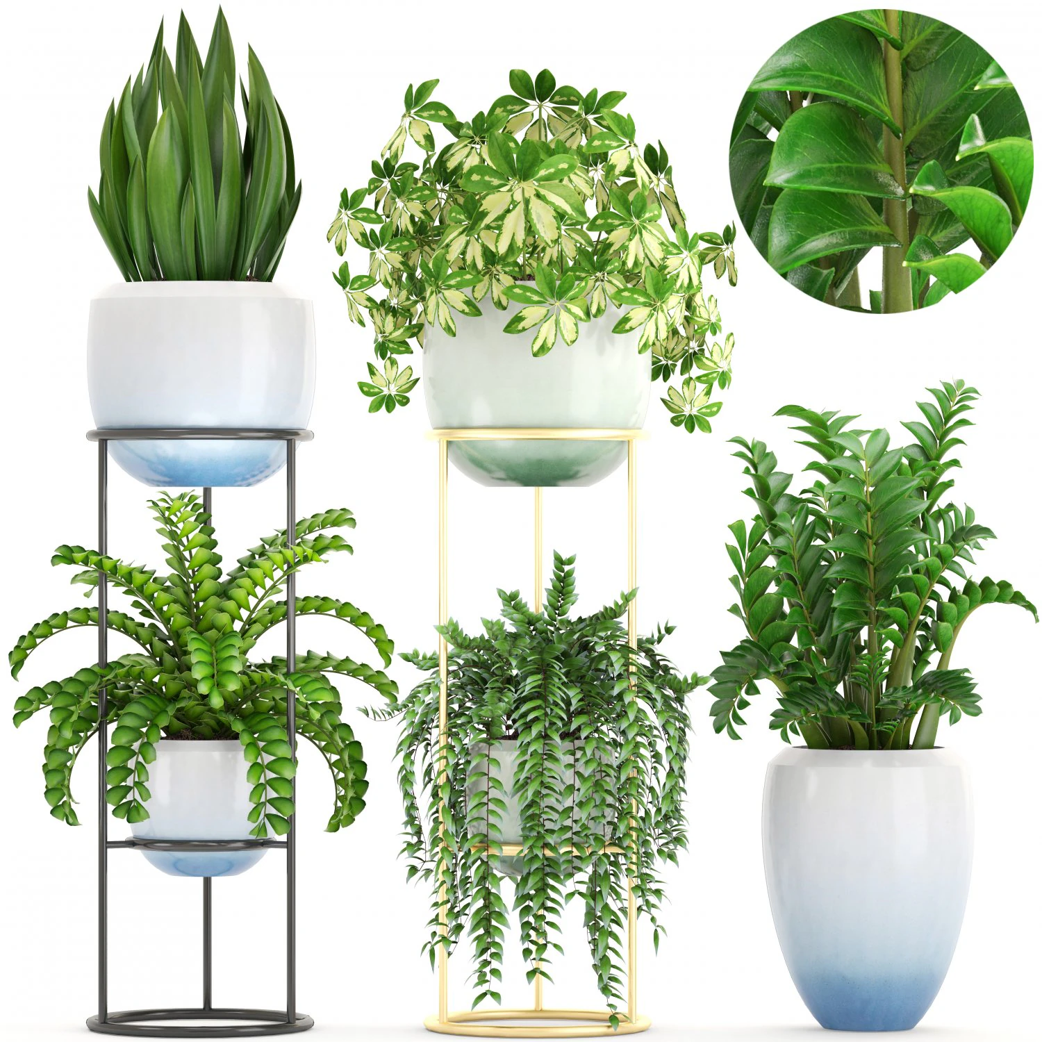 collection plants 3D Model .c4d .max .obj .3ds .fbx .stl .blend 
