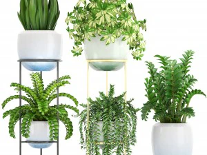 collection plants 3D Model