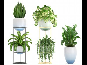 collection plants 3D Model