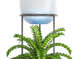 collection plants 3D Model