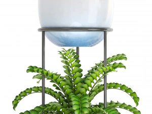 collection plants 3D Model