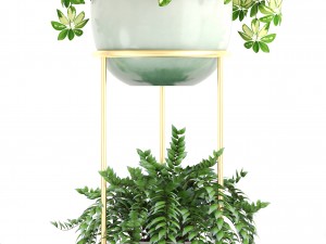 collection plants 3D Model