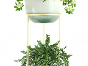 collection plants 3D Model