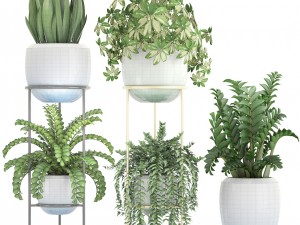 collection plants 3D Model