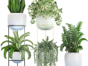 collection plants 3D Model