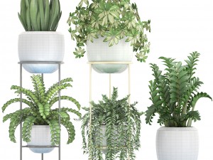 collection plants 3D Model