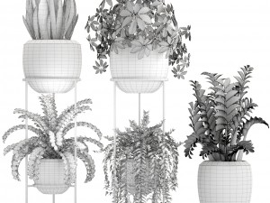 collection plants 3D Model