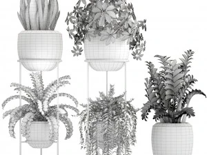 collection plants 3D Model