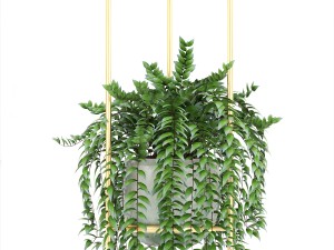 collection plants 3D Model