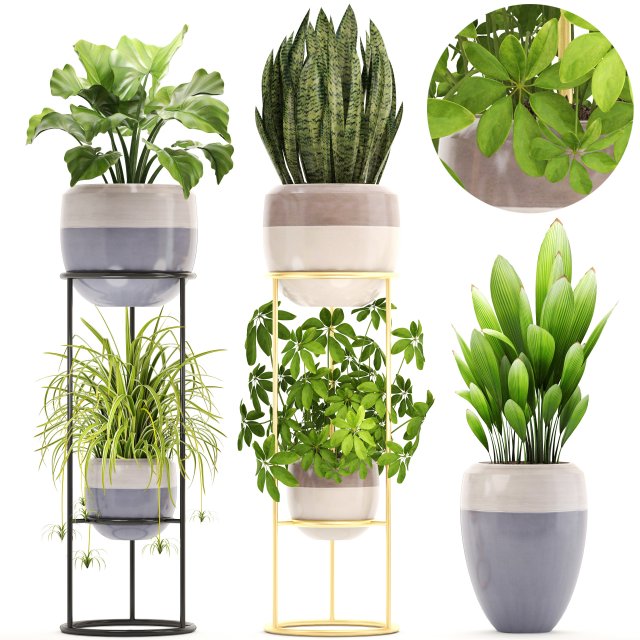 collection plants 3D Модель .c4d .max .obj .3ds .fbx .stl .blend 
