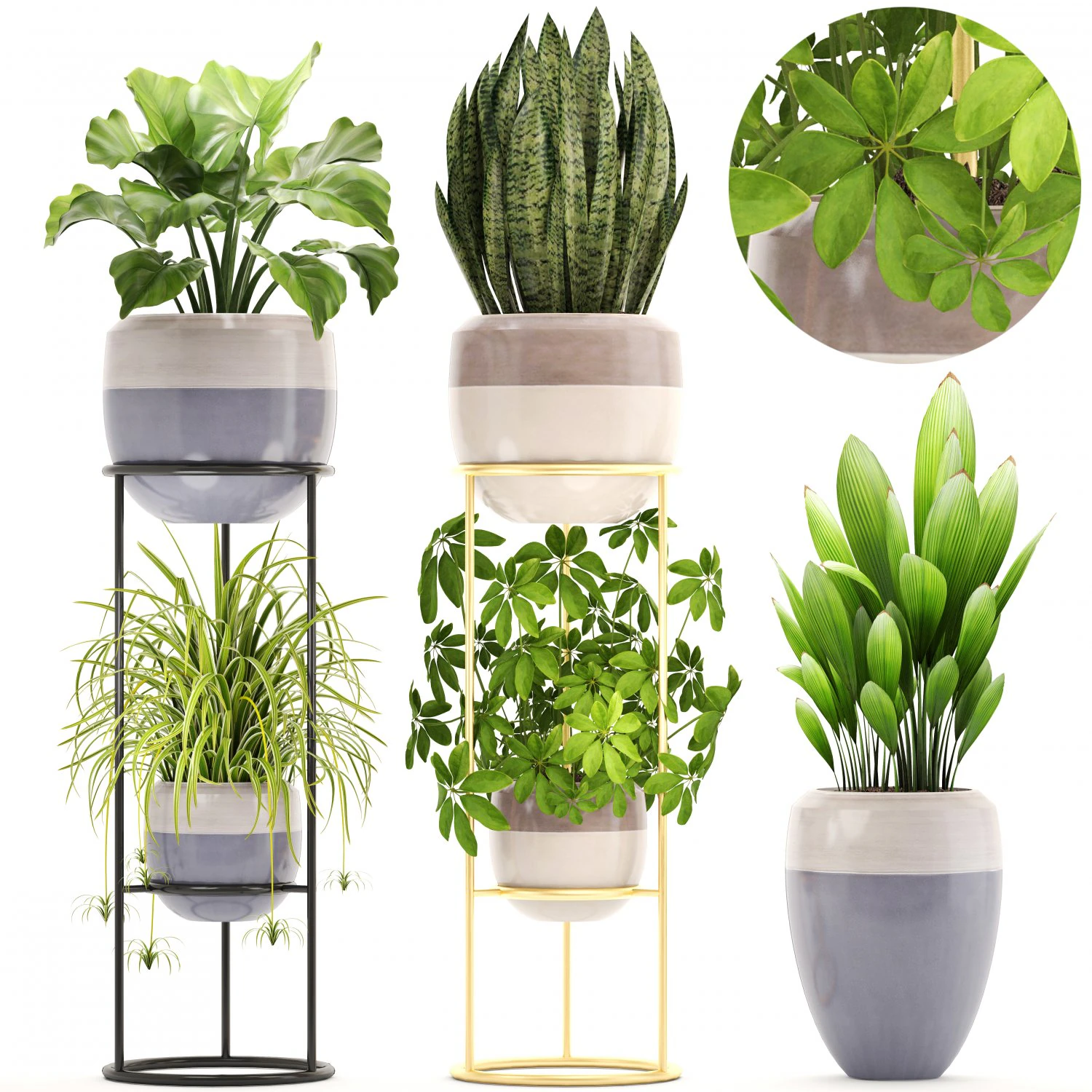 collection plants 3D Model .c4d .max .obj .3ds .fbx .stl .blend 