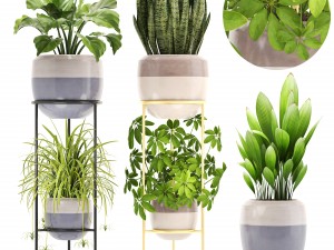collection plants 3D-Modell