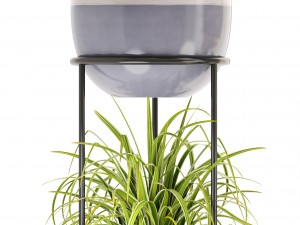 collection plants 3D Модель