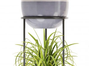 collection plants 3D Model