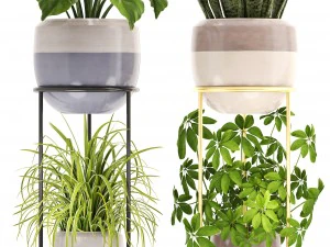 collection plants 3D Model