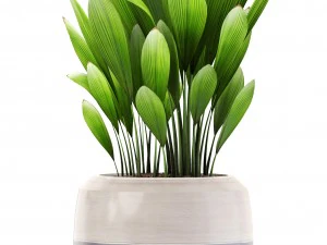 collection plants 3D Model