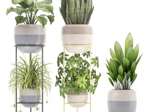 collection plants 3D Model