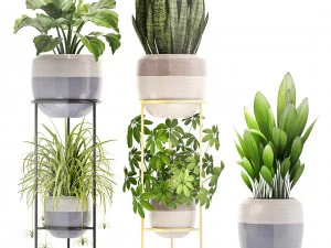 collection plants 3D Model