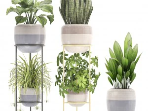 collection plants 3D Model