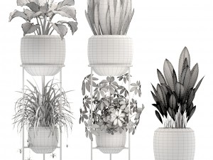 collection plants 3D Модель