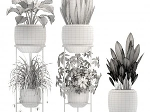 collection plants 3D Model