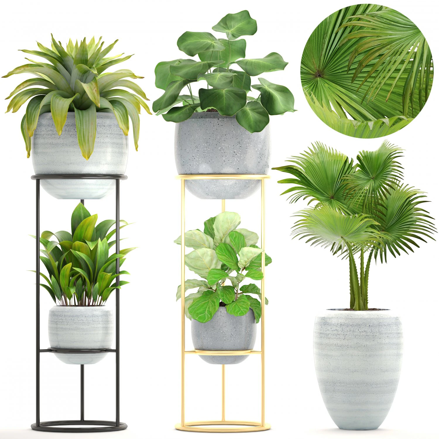 collection plants 3D Model .c4d .max .obj .3ds .fbx .stl .blend