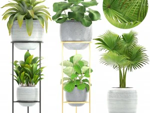 verzameling planten 3D Model