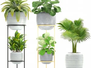 collection plants 3D Model