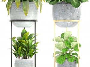 collection plants 3D Model