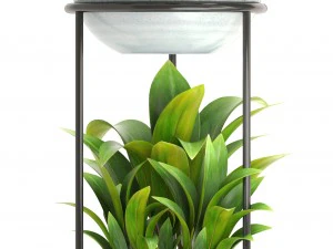 collection plants 3D Model