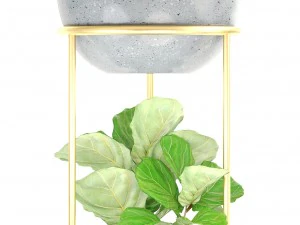 collection plants 3D Model