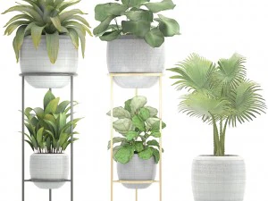 collection plants 3D Model