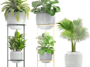collection plants 3D Model