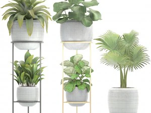 collection plants 3D Model