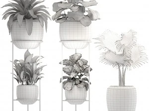 collection plants 3D Model