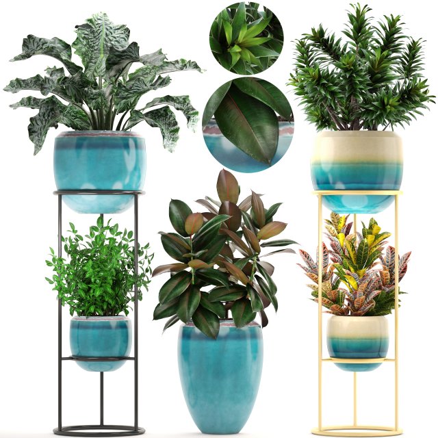 collection plants 3D Model .c4d .max .obj .3ds .fbx .stl .blend 