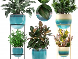collection plants 3D Model