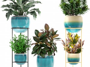 collection plants 3D Model