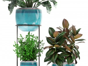 collection plants 3D Model