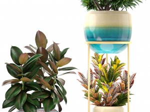 collection plants 3D Model