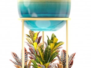 collection plants 3D Model