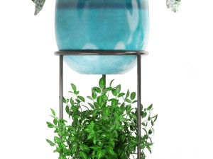 collection plants 3D Model